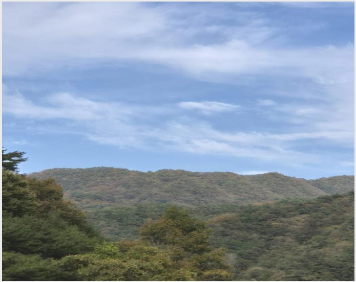 ÅäÁö(ÀÓ¾ß) »çÁø1 | ȼø±º µ¿º¹¸é À¯Ãµ¸® | 2024Ÿ°æ8063 | ÅäÁö(ÀÓ¾ß)°æ¸Å