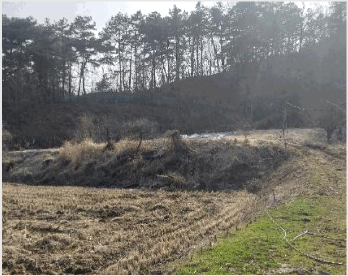 ÅäÁö(Àü) »çÁø1 | ûÁֽà »ó´ç±¸ ³²Àϸé | 2025Ÿ°æ1101 | ÅäÁö(Àü)°æ¸Å
