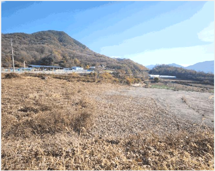 ÅäÁö(ÀÓ¾ß) »çÁø1 | ±«»ê±º Ä¥¼º¸é µÎõ¸® | 2025Ÿ°æ5332 | ÅäÁö(ÀÓ¾ß)°æ¸Å