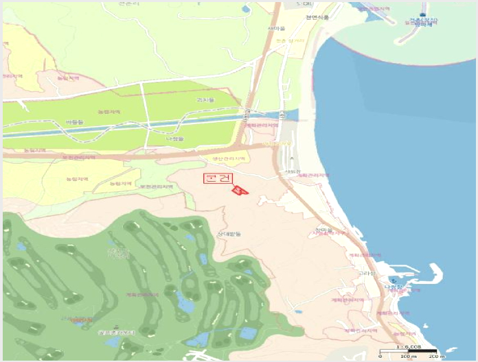 ÅäÁö(Àü) »çÁø1 | °æÁֽà °¨Æ÷À¾ ³ªÁ¤¸® | 2025Ÿ°æ478 | ÅäÁö(Àü)°æ¸Å