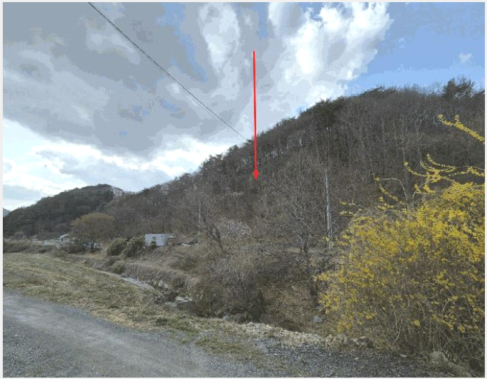 ÅäÁö(ÀÓ¾ß) »çÁø1 | ¾ç»ê½Ã ¸Å°îµ¿ »ê24-1 | 2025Ÿ°æ987 | ÅäÁö(ÀÓ¾ß)°æ¸Å
