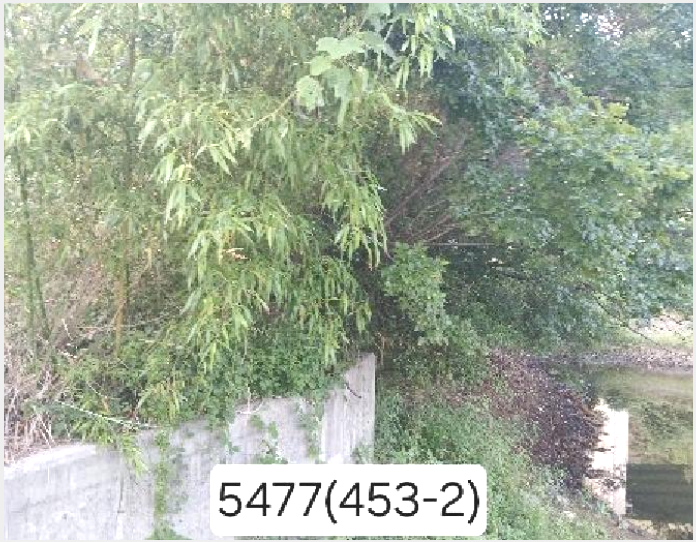 À¯Áö »çÁø1 | ±âÀ屺 Á¤°üÀ¾ ¿¹¸²¸® | 2025Ÿ°æ5477 | À¯Áö°æ¸Å