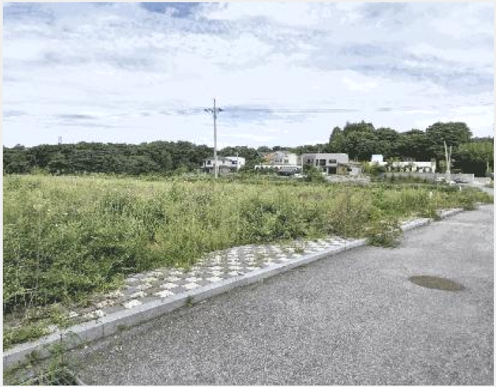 ÅäÁö(Àü) »çÁø1 | ÀüÁֽà ¿Ï»ê±¸ »ïõµ¿3°¡ | 2025Ÿ°æ932 | ÅäÁö(Àü)°æ¸Å
