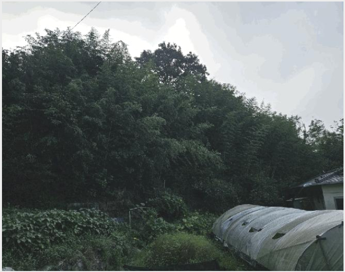 ÅäÁö(´ëÁö) »çÁø1 | ÇԾȱº ¹ý¼ö¸é Ȳ»ç¸® | 2025Ÿ°æ20793 | ÅäÁö(´ëÁö)°æ¸Å