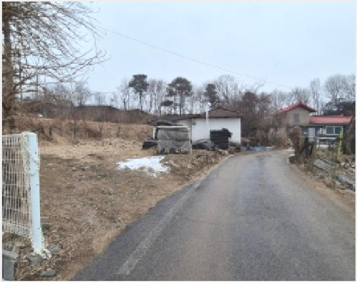 ÅäÁö(´ëÁö) »çÁø1 | Æ÷õ½Ã °üÀθé Ãʰú¸® | 2026Ÿ°æ70193 | ÅäÁö(´ëÁö)°æ¸Å