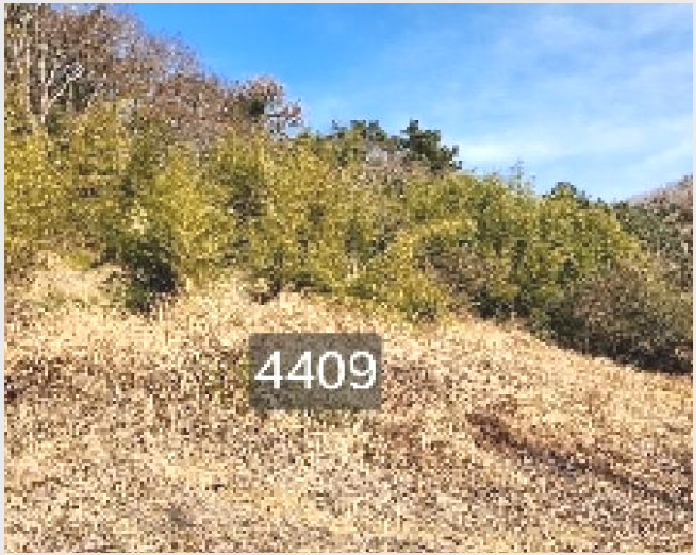ÅäÁö(ÀÓ¾ß) »çÁø1 | ±âÀ屺 ö¸¶¸é ±¸Ä¥¸® | 2025Ÿ°æ4409 | ÅäÁö(ÀÓ¾ß)°æ¸Å