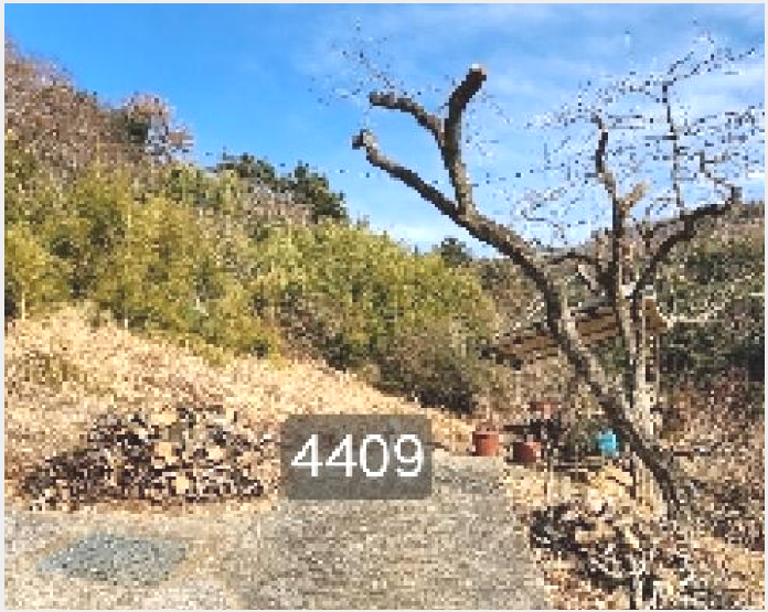 ÅäÁö(ÀÓ¾ß) »çÁø1 | ±âÀ屺 ö¸¶¸é ±¸Ä¥¸® | 2025Ÿ°æ4409 | ÅäÁö(ÀÓ¾ß)°æ¸Å