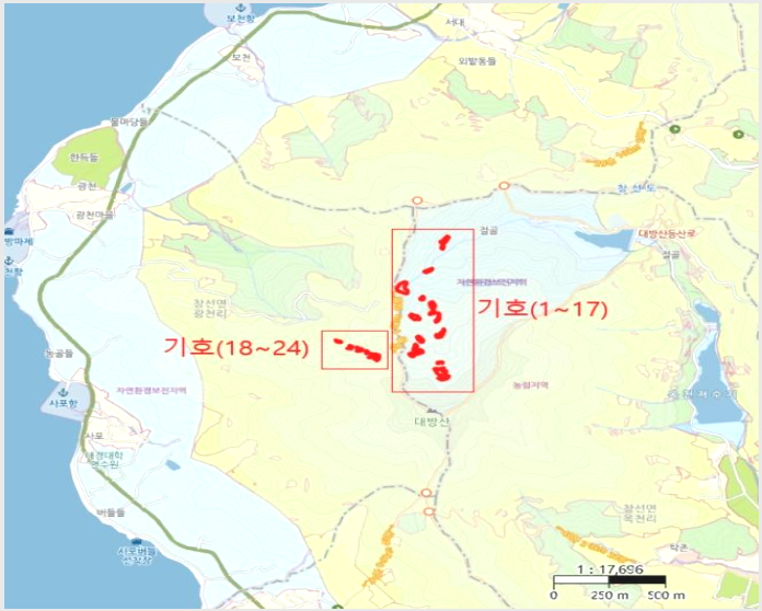 ÅäÁö(´ä) »çÁø1 | ³²Çرº â¼±¸é ¿Áõ¸® | 2024Ÿ°æ36441 | ÅäÁö(´ä)°æ¸Å