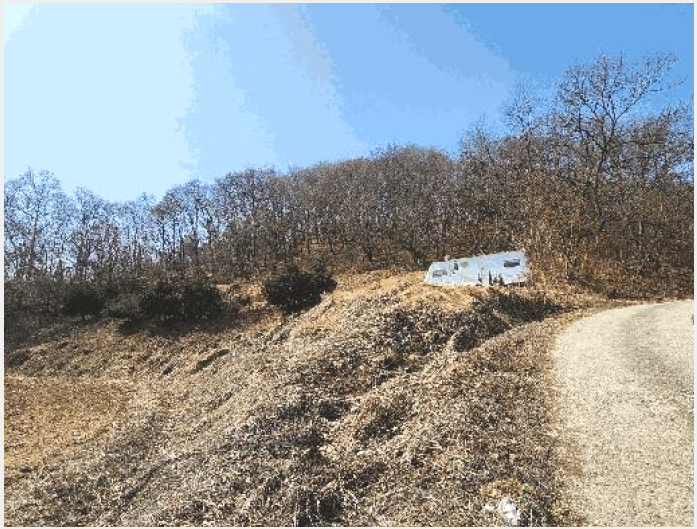 ÅäÁö(ÀÓ¾ß) »çÁø1 | À½¼º±º »ý±Ø¸é °ü¼º¸® | 2025Ÿ°æ30409 | ÅäÁö(ÀÓ¾ß)°æ¸Å