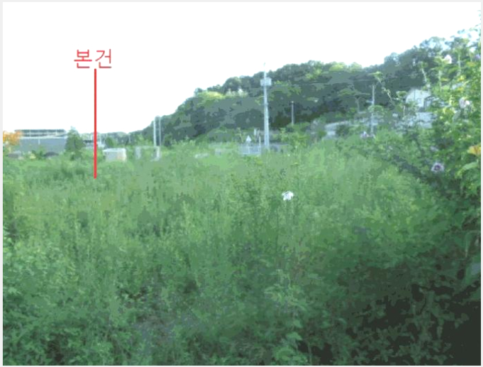 ÅäÁö(´ä) »çÁø1 | À½¼º±º ´ë¼Ò¸é ³»»ê¸® | 2025Ÿ°æ30732 | ÅäÁö(´ä)°æ¸Å