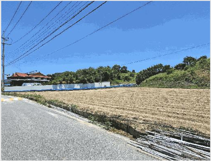 ÅäÁö(Àü) »çÁø1 | ±Ý»ê±º ±ººÏ¸é µ¿Æí¸® | 2025Ÿ°æ502702 | ÅäÁö(Àü)°æ¸Å