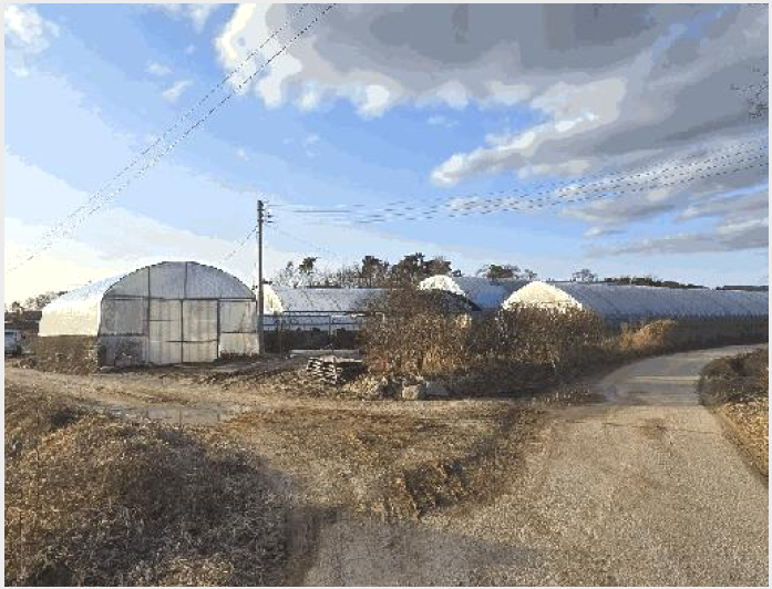 ÅäÁö(´ä) »çÁø1 | ±«»ê±º û¾È¸é ¹®¹æ¸® | 2026Ÿ°æ50054 | ÅäÁö(´ä)°æ¸Å