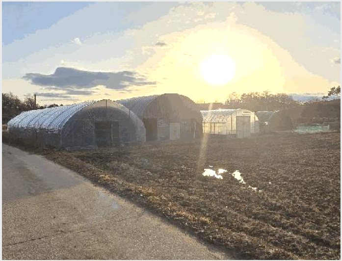 ÅäÁö(´ä) »çÁø1 | ±«»ê±º û¾È¸é ¹®¹æ¸® | 2026Ÿ°æ50054 | ÅäÁö(´ä)°æ¸Å