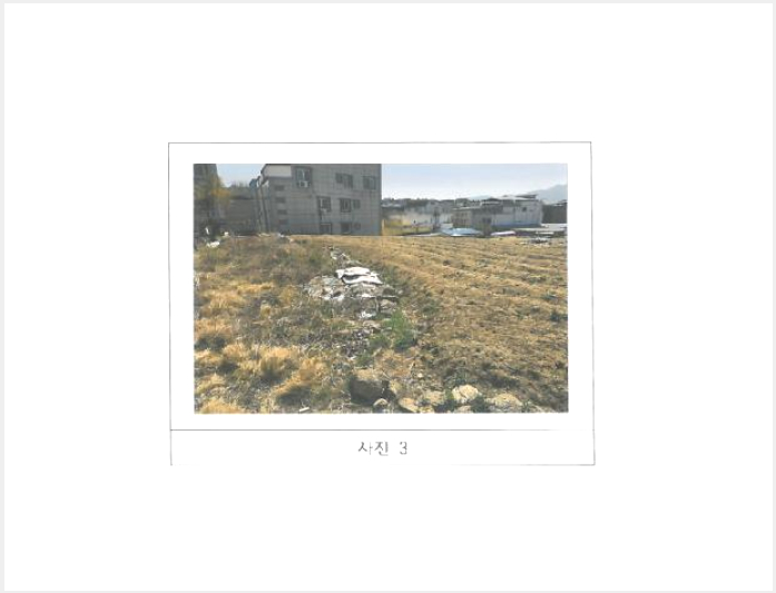 ÅäÁö(Àü) »çÁø1 | ±èõ½Ã »ï¶ôµ¿ 891-173 | 2025Ÿ°æ10913 | ÅäÁö(Àü)°æ¸Å