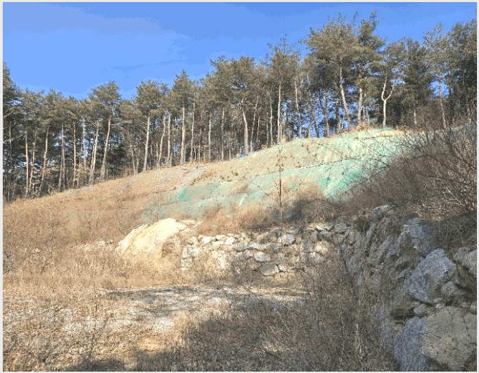 ÅäÁö(ÀÓ¾ß) »çÁø1 | ¾ç¾ç±º Çö³²¸é Á¤ÀÚ¸® | 2025Ÿ°æ193 | ÅäÁö(ÀÓ¾ß)°æ¸Å