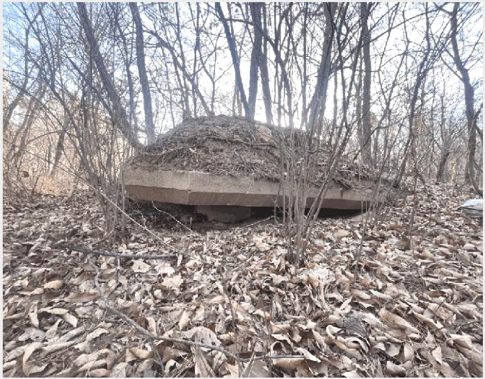 ÅäÁö(ÀÓ¾ß) »çÁø1 | ÀÇÁ¤ºÎ½Ã Àå¾Ïµ¿ 37-88 | 2026Ÿ°æ70327 | ÅäÁö(ÀÓ¾ß)°æ¸Å