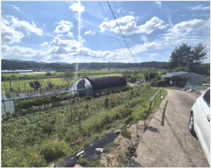ÅäÁö(´ëÁö) »çÁø1 | ±Ý³²¸é ´ÞÀü¸® 481 | 2025Ÿ°æ503319 | ÅäÁö(´ëÁö)°æ¸Å