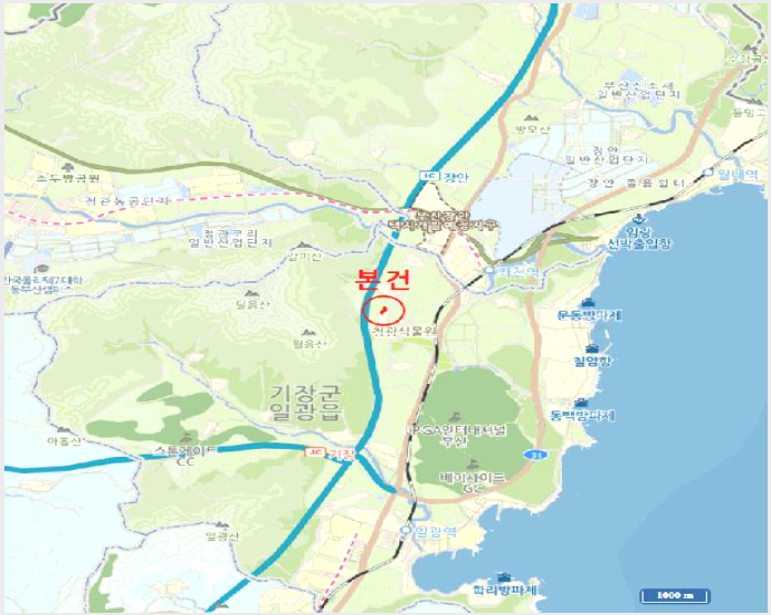 ÅäÁö(´ä) »çÁø1 | ±âÀ屺 Àϱ¤À¾ ¿ø¸® | 2025Ÿ°æ5532 | ÅäÁö(´ä)°æ¸Å