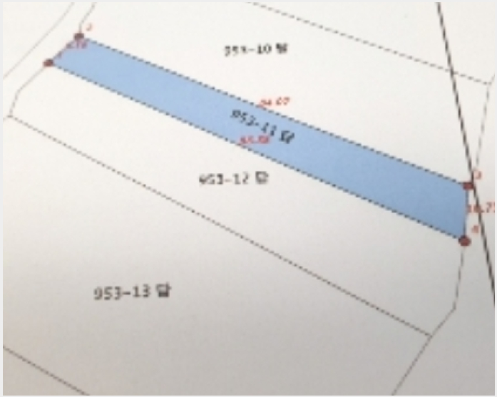 ÅäÁö(´ä) »çÁø1 | ³²¿ø½Ã ´ö°ú¸é »çÀ²¸® | 2022Ÿ°æ31751 | ÅäÁö(´ä)°æ¸Å