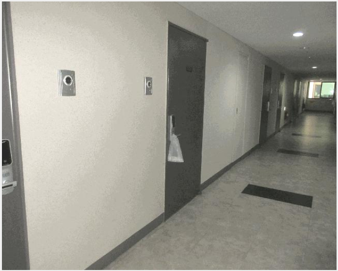 ¿ÀÇǽºÅÚ »çÁø1 | ³ªÁֽà ºû°¡¶÷µ¿ 200 | 2025Ÿ°æ33202 | ¿ÀÇǽºÅÚ°æ¸Å