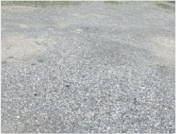 ÅäÁö(´ëÁö) »çÁø1 | ¾ç»ê½Ã Áߺε¿ 676-4 | 2025Ÿ°æ12307 | ÅäÁö(´ëÁö)°æ¸Å