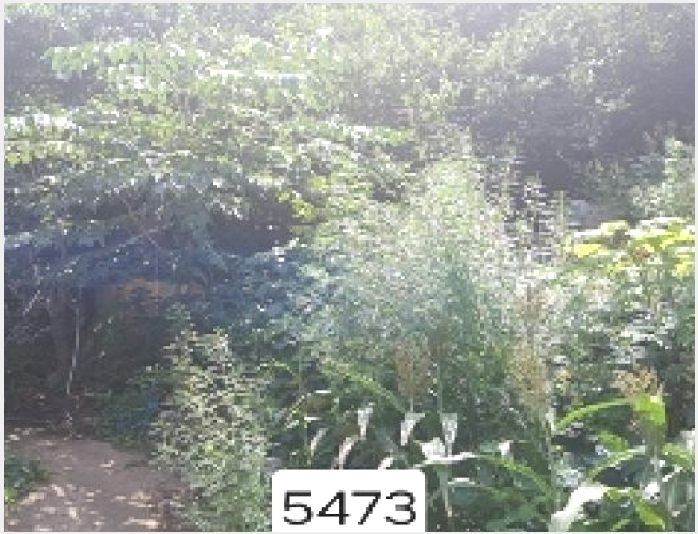 ÅäÁö(ÀÓ¾ß) »çÁø1 | ÇØ¿î´ë±¸ ¹Ý¼Ûµ¿ »ê51-238 | 2025Ÿ°æ5473 | ÅäÁö(ÀÓ¾ß)°æ¸Å