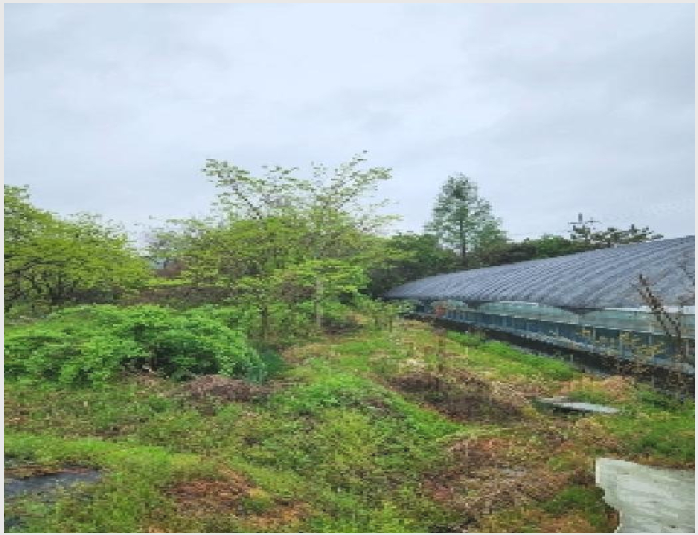 ÅäÁö(Àü) »çÁø1 | ¼±¸ ¸¶¸¤µ¿ 332-3 | 2025Ÿ°æ32572 | ÅäÁö(Àü)°æ¸Å