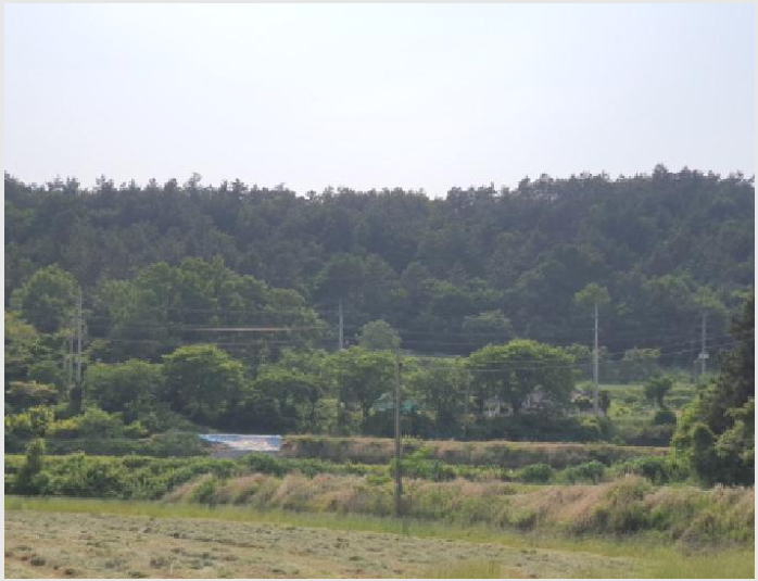 ÅäÁö(ÀÓ¾ß) »çÁø1 | ÀåÈﱺ ¿ë»ê¸é »ó¹ß¸® | 2025Ÿ°æ5259 | ÅäÁö(ÀÓ¾ß)°æ¸Å