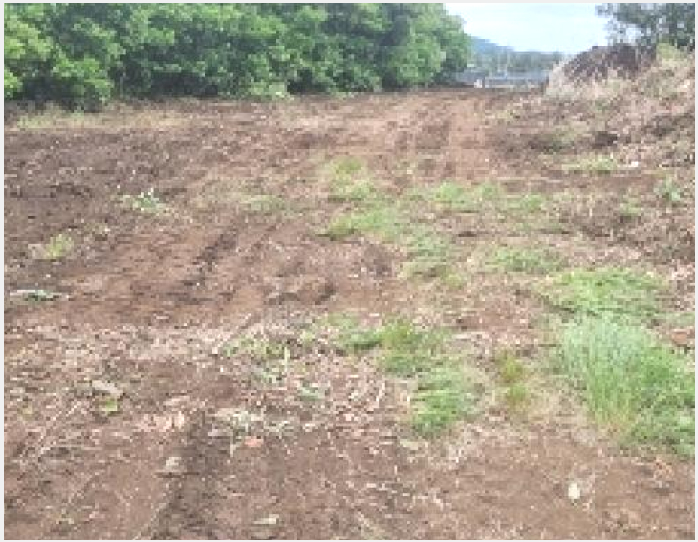 ÅäÁö(Àü) »çÁø1 | ¼±ÍÆ÷½Ã ¼º»êÀ¾ ½Ådz¸® | 2025Ÿ°æ1215 | ÅäÁö(Àü)°æ¸Å