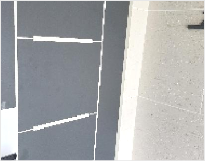 ´Ù¼¼´ë,ºô¶ó »çÁø1 | ÆÄÁֽà źÇö¸é ´ëµ¿¸® | 2025Ÿ°æ63543 | ´Ù¼¼´ë,ºô¶ó°æ¸Å