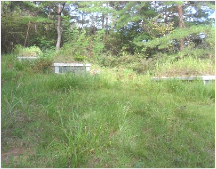 ÅäÁö(ÀÓ¾ß) »çÁø1 | °íⱺ ¾Æ»ê¸é °è»ê¸® | 2025Ÿ°æ30357 | ÅäÁö(ÀÓ¾ß)°æ¸Å