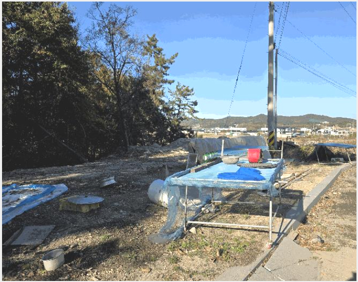ÅäÁö(ÀÓ¾ß) »çÁø1 | ¾È»ê½Ã ´Ü¿ø±¸ ´ëºÎ³²µ¿ | 2025Ÿ°æ53615 | ÅäÁö(ÀÓ¾ß)°æ¸Å