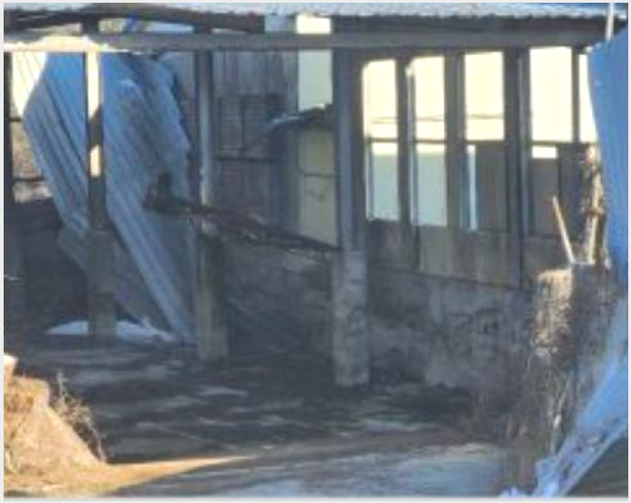 ÅäÁö(ÀÓ¾ß) »çÁø1 | ¿øÁֽà ¼ÒÃÊ¸é ¼ö¾Ï¸® | 2024Ÿ°æ406524 | ÅäÁö(ÀÓ¾ß)°æ¸Å