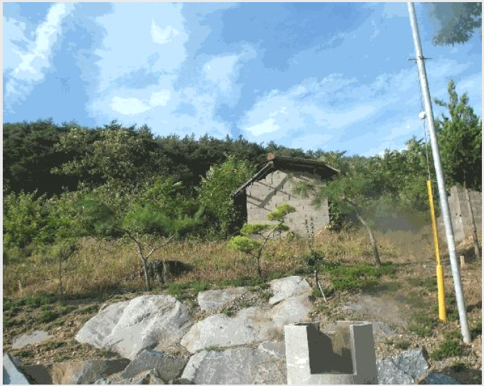 ÅäÁö(ÀÓ¾ß) »çÁø1 | ºÎ¿©±º ¿Ü»ê¸é °¥»ê¸® | 2025Ÿ°æ20397 | ÅäÁö(ÀÓ¾ß)°æ¸Å