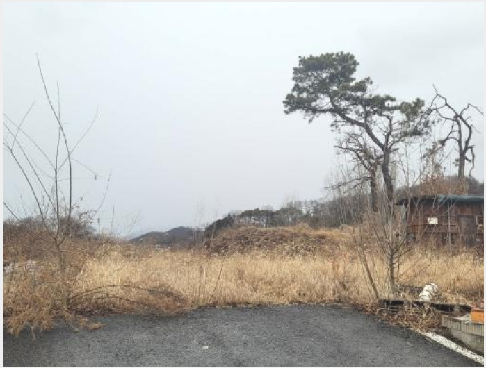 ÅäÁö(Àü) »çÁø1 | ¾çÆò±º °³±º¸é »óÀÚÆ÷¸® | 2023Ÿ°æ2973 | ÅäÁö(Àü)°æ¸Å