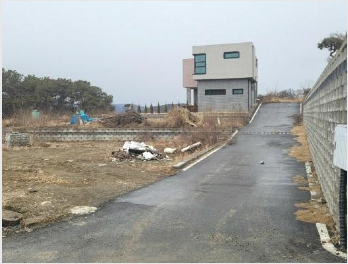 ÅäÁö(Àü) »çÁø1 | ¾çÆò±º °³±º¸é »óÀÚÆ÷¸® | 2023Ÿ°æ2973 | ÅäÁö(Àü)°æ¸Å
