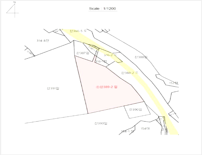 ÅäÁö(ÀÓ¾ß) »çÁø1 | Å뿵½Ã µµ»ê¸é ¹ý¼Û¸® | 2025Ÿ°æ21880 | ÅäÁö(ÀÓ¾ß)°æ¸Å