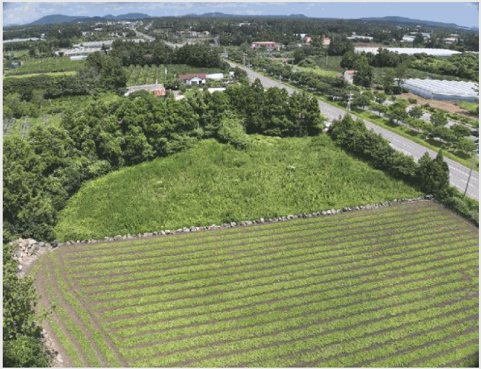 ÅäÁö(Àü) »çÁø1 | ¼±ÍÆ÷½Ã Ç¥¼±¸é ÇÏõ¸® | 2025Ÿ°æ8473 | ÅäÁö(Àü)°æ¸Å