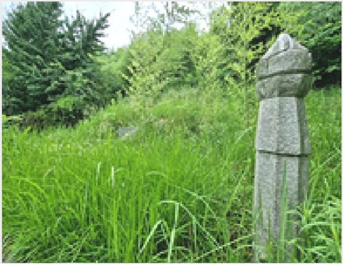 ÅäÁö(ÀÓ¾ß) »çÁø1 | â¿ø½Ã ÀÇⱸ µ¿Á¤µ¿ | 2025Ÿ°æ11790 | ÅäÁö(ÀÓ¾ß)°æ¸Å