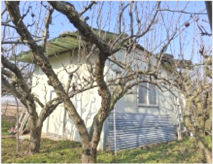 ÅäÁö(´ä) »çÁø1 | »çõ½Ã »çõÀ¾ µÎ·®¸® | 2025Ÿ°æ159 | ÅäÁö(´ä)°æ¸Å