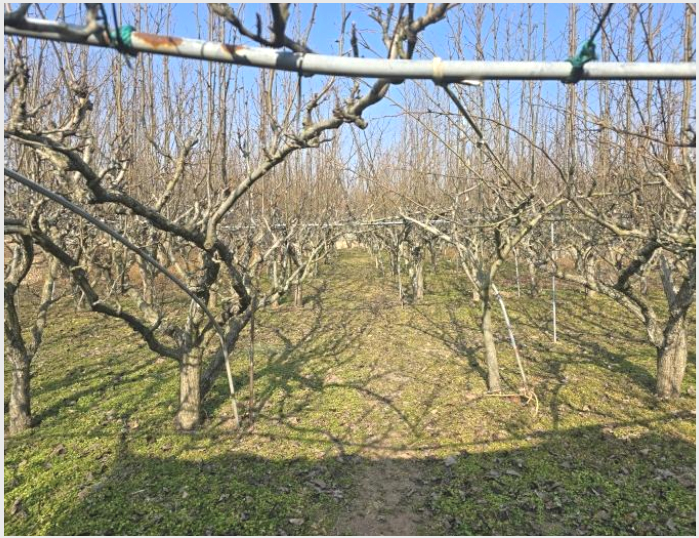 ÅäÁö(´ä) »çÁø1 | »çõ½Ã »çõÀ¾ µÎ·®¸® | 2025Ÿ°æ159 | ÅäÁö(´ä)°æ¸Å