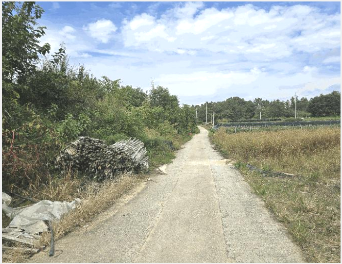 ÅäÁö(´ä) »çÁø1 | ±Ý»ê±º ºÎ¸®¸é °üõ¸® | 2025Ÿ°æ503422 | ÅäÁö(´ä)°æ¸Å