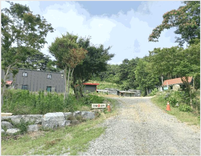 ÅäÁö(ÀÓ¾ß) »çÁø1 | È«¼º±º °¥»ê¸é ´ë»ç¸® | 2025Ÿ°æ15814 | ÅäÁö(ÀÓ¾ß)°æ¸Å