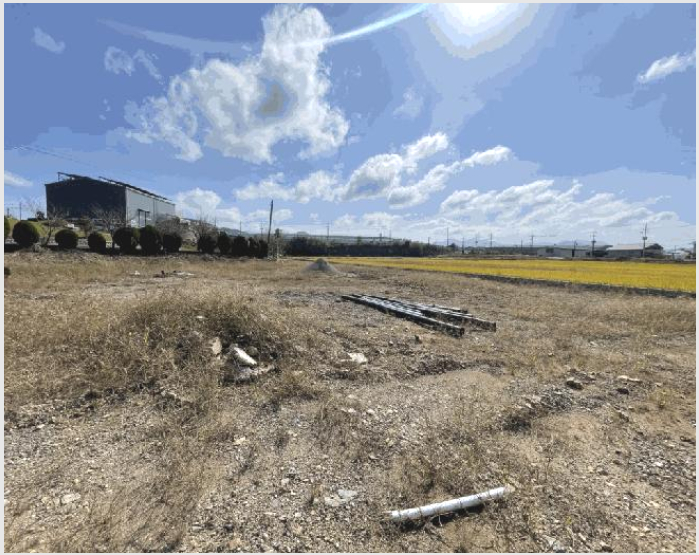 ÅäÁö(´ä) »çÁø1 | ÇԾȱº ¹ý¼ö¸é °ÁÖ¸® | 2025Ÿ°æ20926 | ÅäÁö(´ä)°æ¸Å