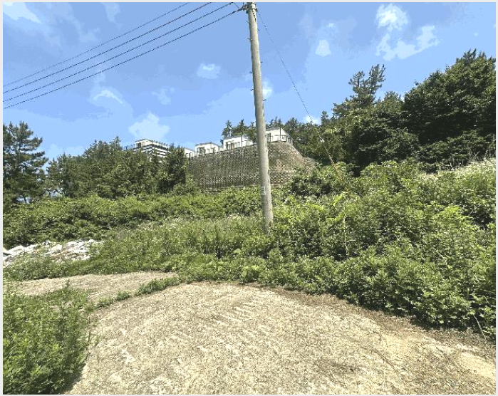 ÅäÁö(Àü) »çÁø1 | žȱº ¼Ò¿ø¸é ¸ðÇ׸® | 2025Ÿ°æ51382 | ÅäÁö(Àü)°æ¸Å