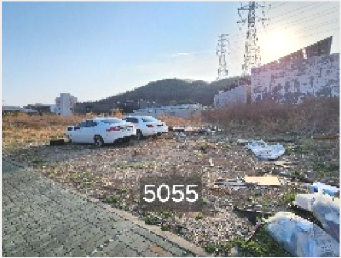 ÅäÁö(´ëÁö) »çÁø1 | ±âÀ屺 Àå¾ÈÀ¾ ¹Ý·æ¸® | 2025Ÿ°æ5055 | ÅäÁö(´ëÁö)°æ¸Å
