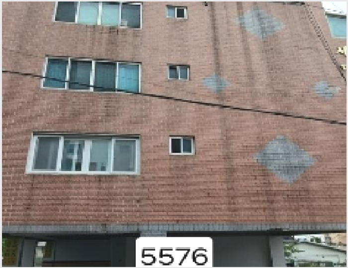 ´Ù¼¼´ë,ºô¶ó »çÁø1 | ±âÀ屺 ±âÀåÀ¾ µ¿ºÎ¸® | 2025Ÿ°æ5576 | ´Ù¼¼´ë,ºô¶ó°æ¸Å