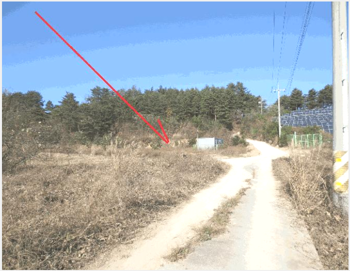 ÅäÁö(ÀÓ¾ß) »çÁø1 | °í¼º±º °ÅÁøÀ¾ »êºÏ¸® | 2025Ÿ°æ302 | ÅäÁö(ÀÓ¾ß)°æ¸Å