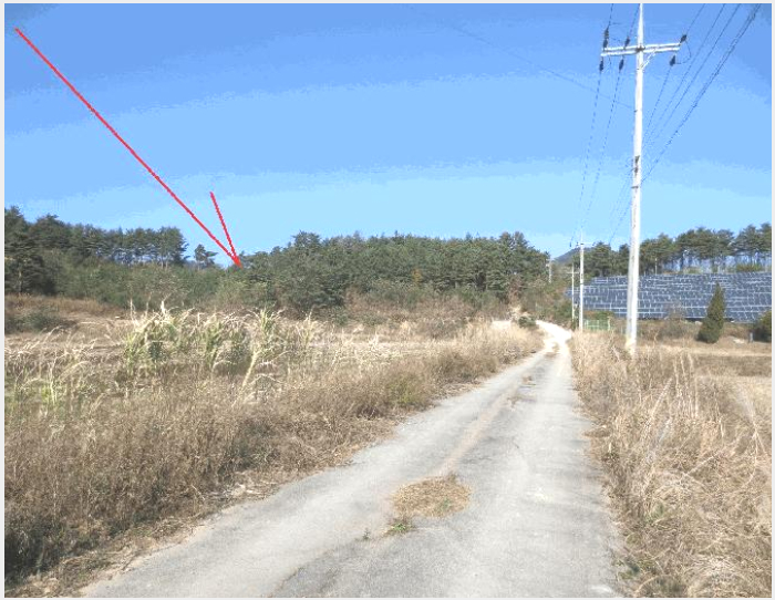 ÅäÁö(ÀÓ¾ß) »çÁø1 | °í¼º±º °ÅÁøÀ¾ »êºÏ¸® | 2025Ÿ°æ302 | ÅäÁö(ÀÓ¾ß)°æ¸Å