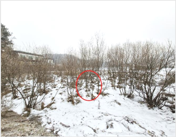 ÅäÁö(´ä) »çÁø1 | ³²¾çÁֽà ¼öµ¿¸é ¼ö»ê¸® | 2025Ÿ°æ70163 | ÅäÁö(´ä)°æ¸Å